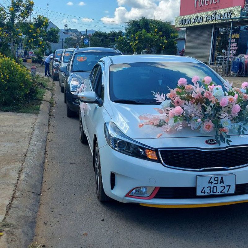 Hoạt động 7